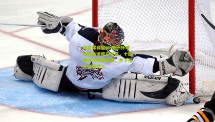 海星体育官网-亚洲杯球场建设进度引关注，十座场馆仅两座投用，余下预计年底完工