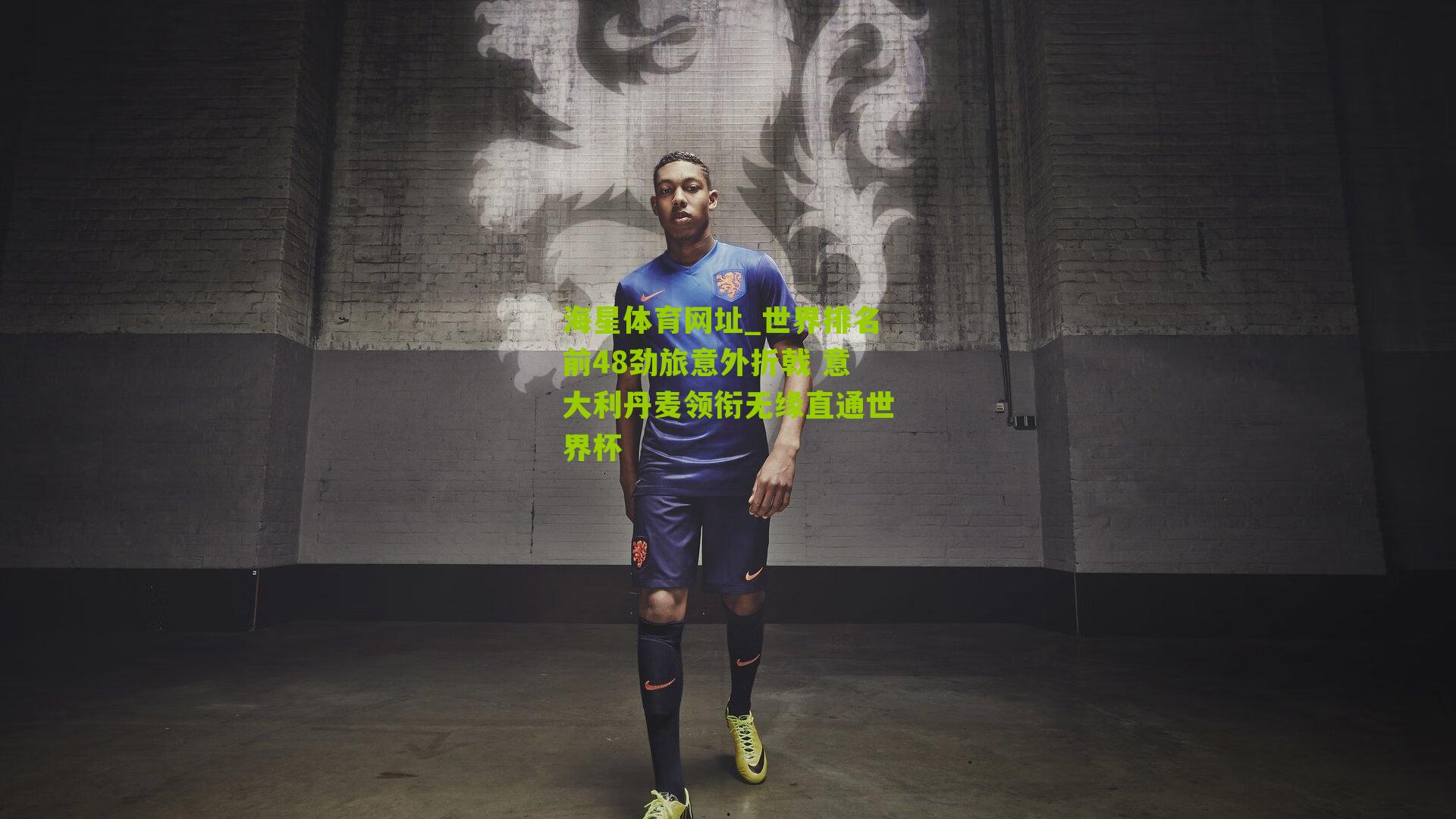 世界排名前48劲旅意外折戟 意大利丹麦领衔无缘直通世界杯