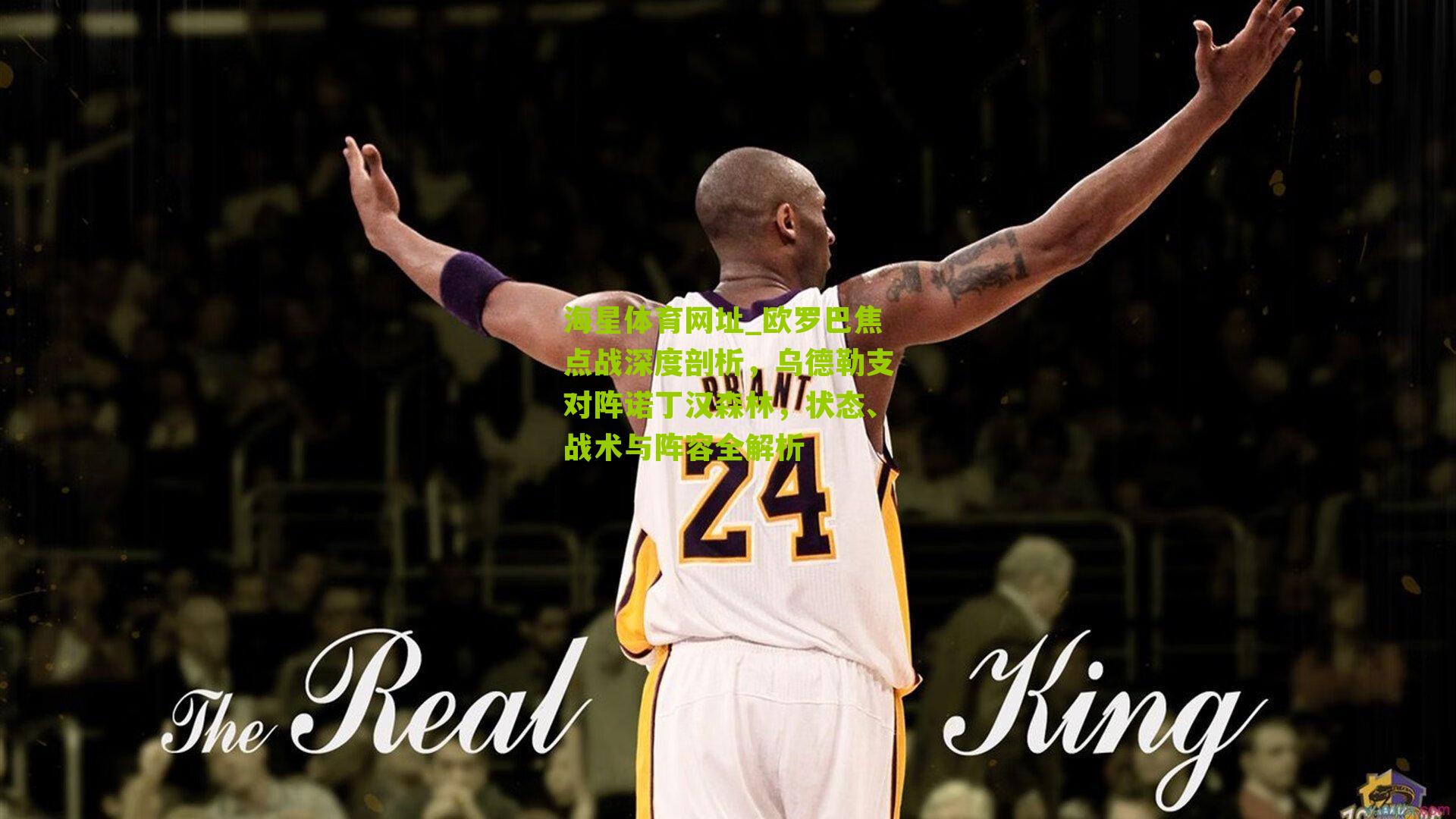 欧罗巴焦点战深度剖析,乌德勒支对阵诺丁汉森林,状态、战术与阵容全解析