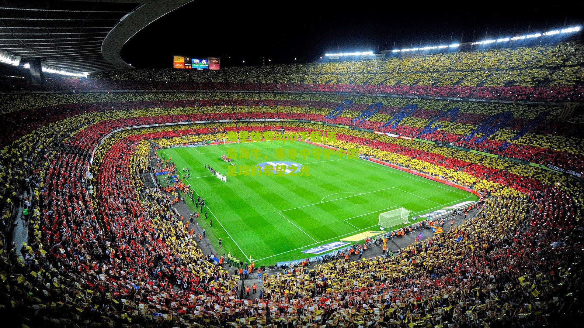 青岛海牛，寒冬中守护中国足球的希望之光